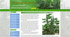 Desktop Screenshot of castorchina.com