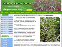 Tablet Screenshot of castorchina.com